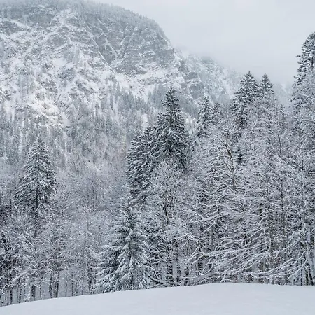 Waldgut Apartamento Oberstdorf