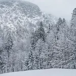 Waldgut Appartement Oberstdorf