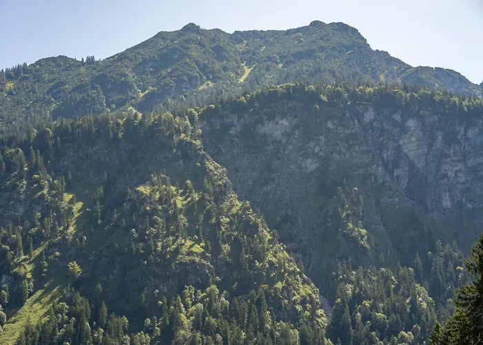 Waldgut Διαμέρισμα